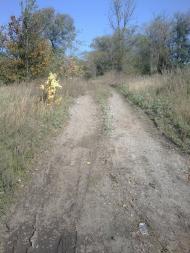 Дзержинське - Останні фото