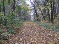 Довжик - Останні фото