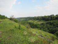 Сивороги з panoramio.com