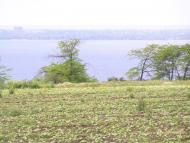 Добра Надія з panoramio.com