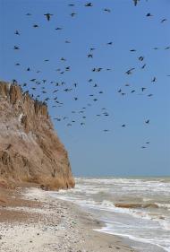 Миронівка - Останні фото