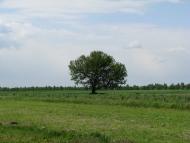 Слобода з panoramio.com