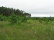 Горщик з panoramio.com