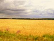 Тернавка - Останні фото