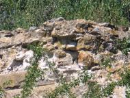 Жовтневий Промінь - Останні фото