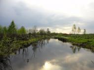 Курганці з panoramio.com