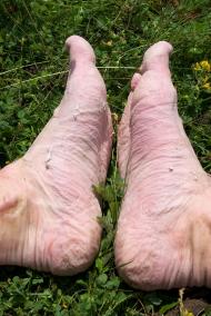 Нефедівці з panoramio.com