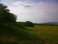 Краснолісся з panoramio.com