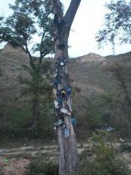 Очаків з panoramio.com