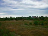 Шевченкове з panoramio.com