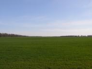 Пінчуки з panoramio.com