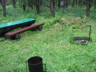 Волошки з panoramio.com