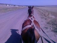 Перемога з panoramio.com