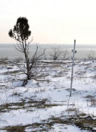 Фонтанка з panoramio.com