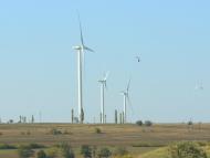 Солончаки з panoramio.com