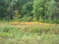 Шепетівка з panoramio.com (ч.2)