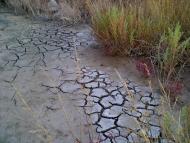 Сніжне з panoramio.com