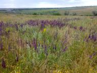 Стаханов з panoramio.com