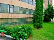 Неморож з panoramio.com