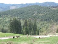 Руська з panoramio.com