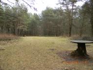 Заводське з panoramio.com