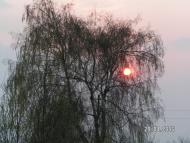 Галаганівка - Останні фото