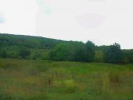 Щасливе з panoramio.com