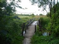 Звози з panoramio.com