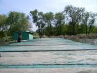 Вільнокур'янівське з panoramio.com