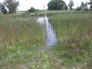 Піски з panoramio.com