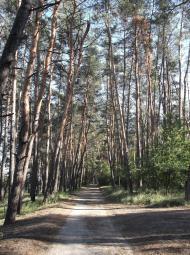 Орлівщина з panoramio.com