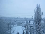 Кам'яне Поле з panoramio.com