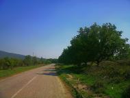 Аромат з panoramio.com