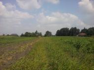 Терехівка з panoramio.com