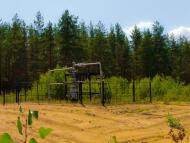 Жовте - Останні фото