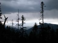 Осмолода з panoramio.com (ч.2)