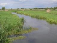 Виликий Обзир з panoramio.com