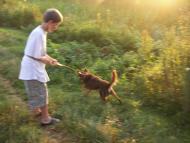 Квасилів - Останні фото