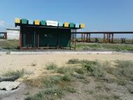 Пролетарка - Последние фото