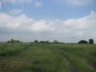 Аркушине з panoramio.com