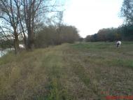 Змійове - Останні фото