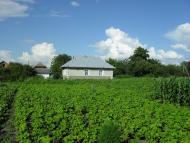 Борщівка з panoramio.com