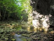 Поворотне з panoramio.com