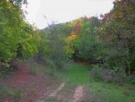 Плотинне з panoramio.com