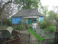 Галка з panoramio.com