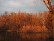 Куп'янськ з panoramio.com (ч.2)