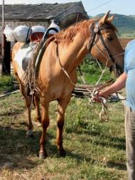 Перевальне з panoramio.com