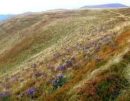 Березники з panoramio.com