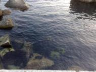 Паркове з panoramio.com