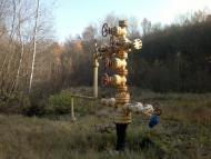 Міжгайці з panoramio.com